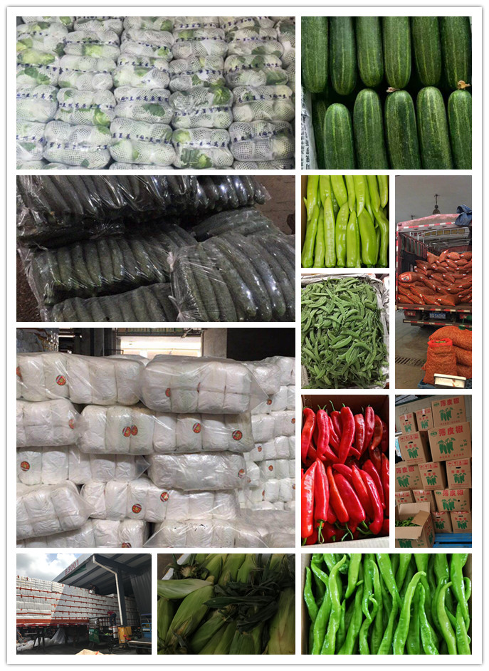 Z6���������ǲ�(�й���)���޹�˾����