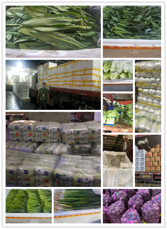 Z6���������ǲ�(�й���)���޹�˾����