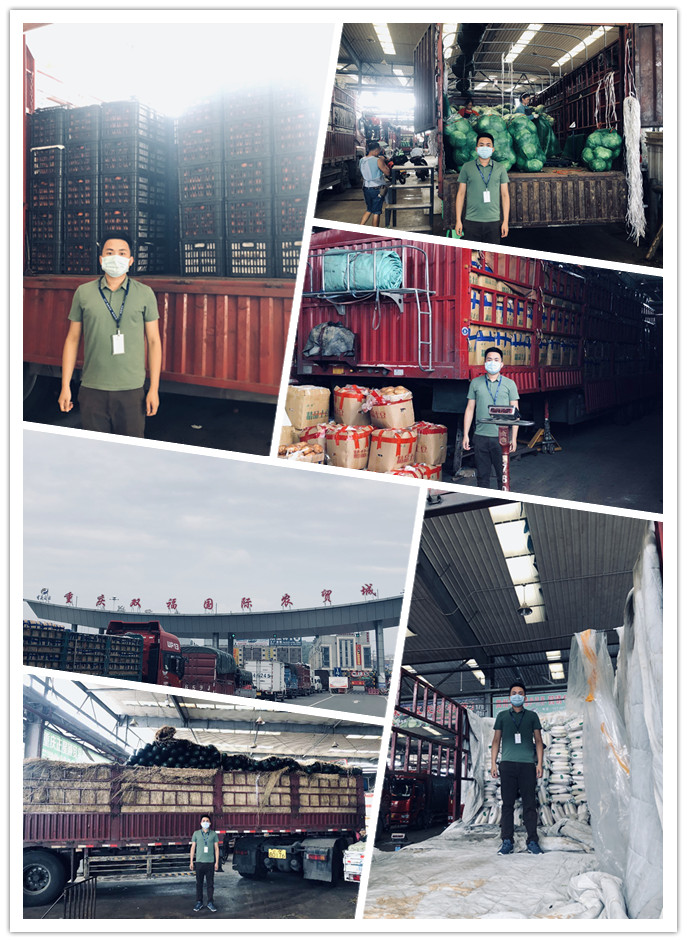 Z6���������ǲ�(�й���)���޹�˾����