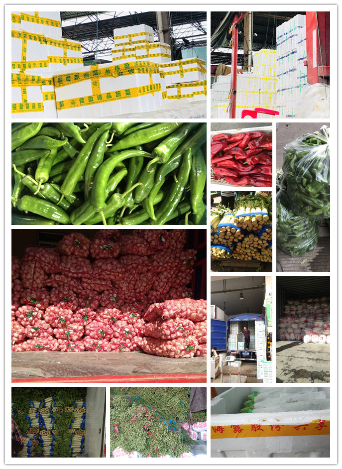 Z6���������ǲ�(�й���)���޹�˾����