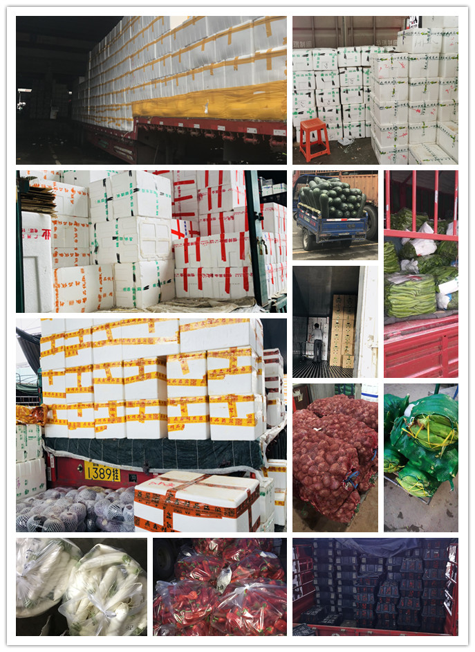 Z6���������ǲ�(�й���)���޹�˾����