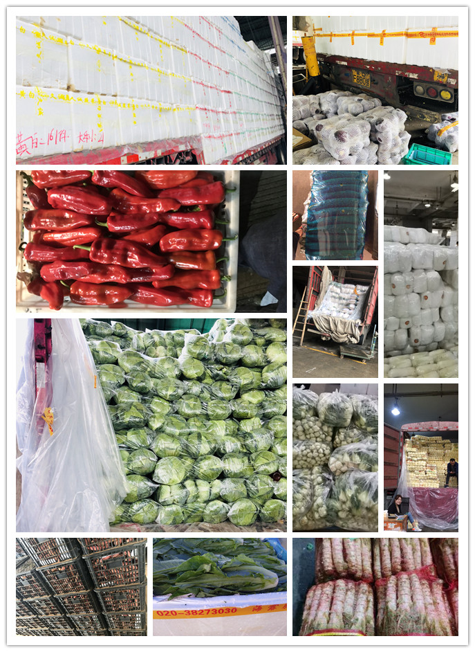 Z6���������ǲ�(�й���)���޹�˾����