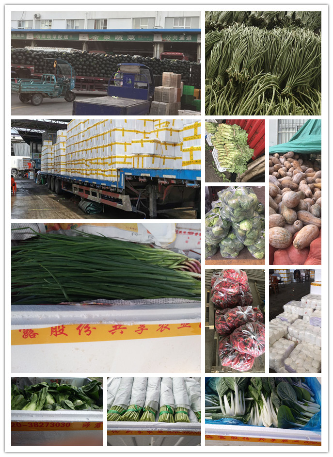 Z6���������ǲ�(�й���)���޹�˾����