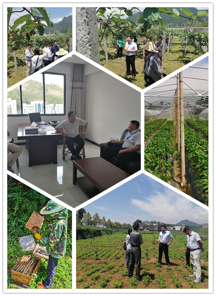 Z6���������ǲ�(�й���)���޹�˾����