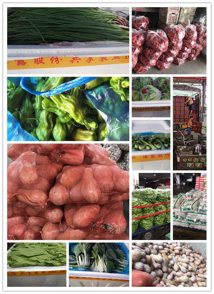 Z6���������ǲ�(�й���)���޹�˾����