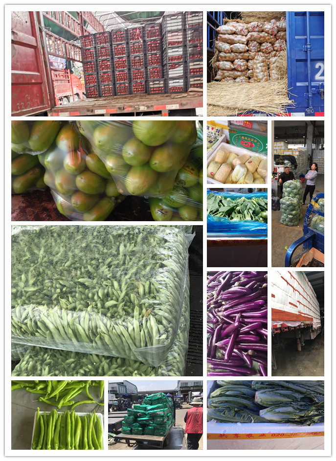 Z6���������ǲ�(�й���)���޹�˾����