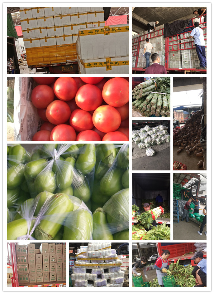 Z6���������ǲ�(�й���)���޹�˾����