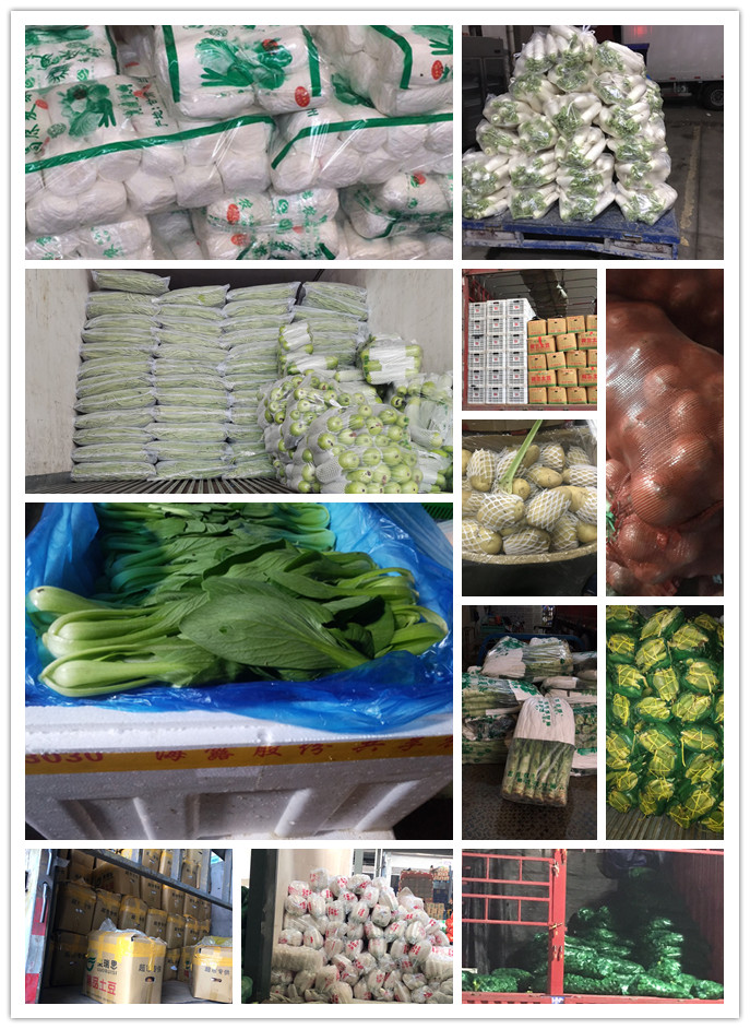 Z6���������ǲ�(�й���)���޹�˾����