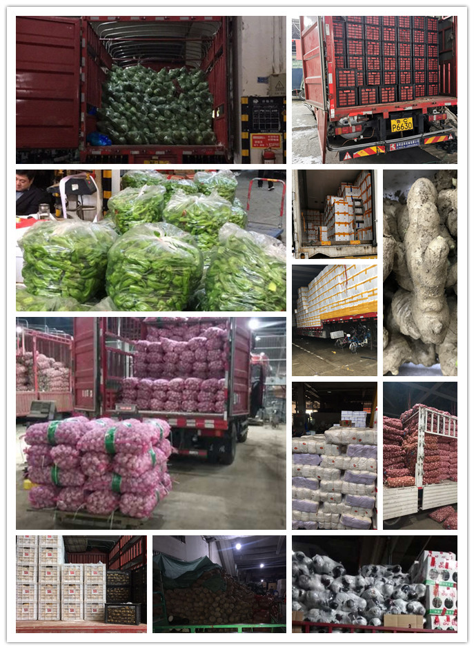 Z6���������ǲ�(�й���)���޹�˾����