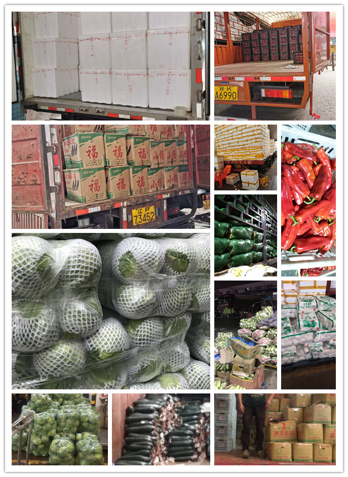 Z6���������ǲ�(�й���)���޹�˾����