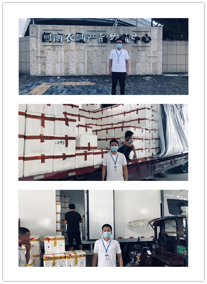 Z6���������ǲ�(�й���)���޹�˾����