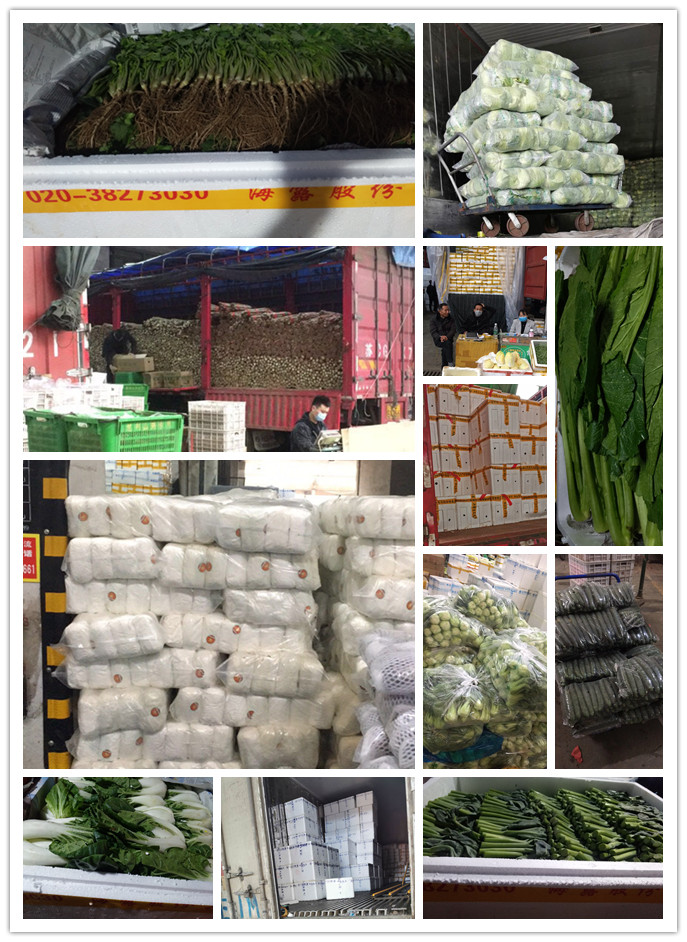 Z6���������ǲ�(�й���)���޹�˾����