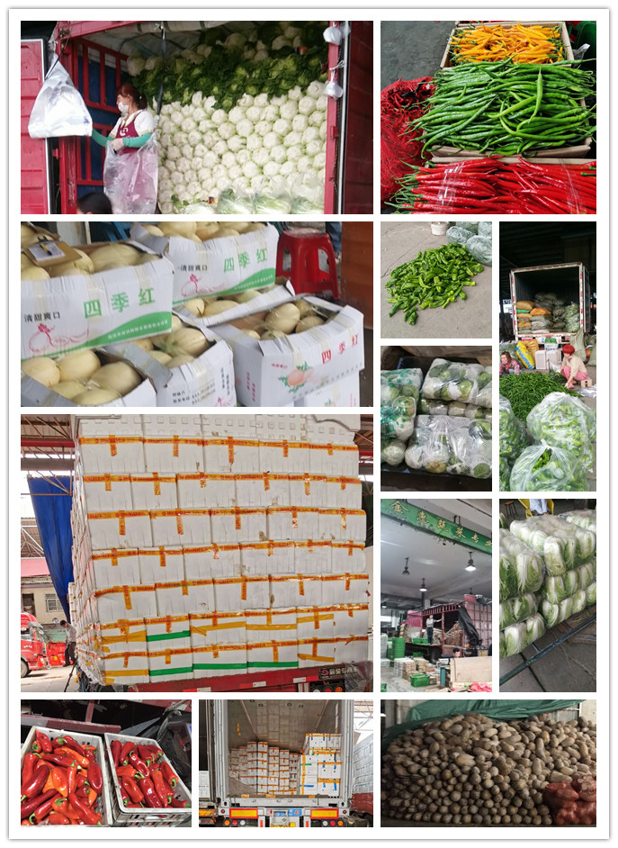 Z6���������ǲ�(�й���)���޹�˾����