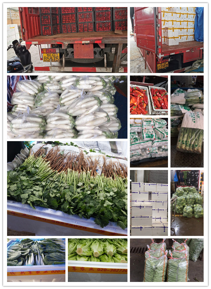 Z6���������ǲ�(�й���)���޹�˾����