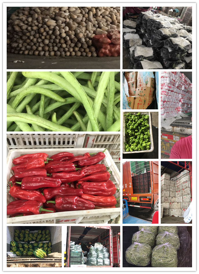 Z6���������ǲ�(�й���)���޹�˾����