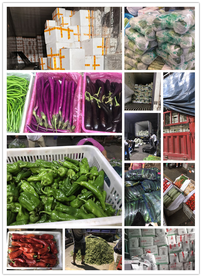 Z6���������ǲ�(�й���)���޹�˾����