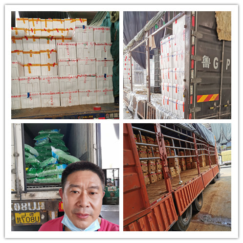 Z6���������ǲ�(�й���)���޹�˾����