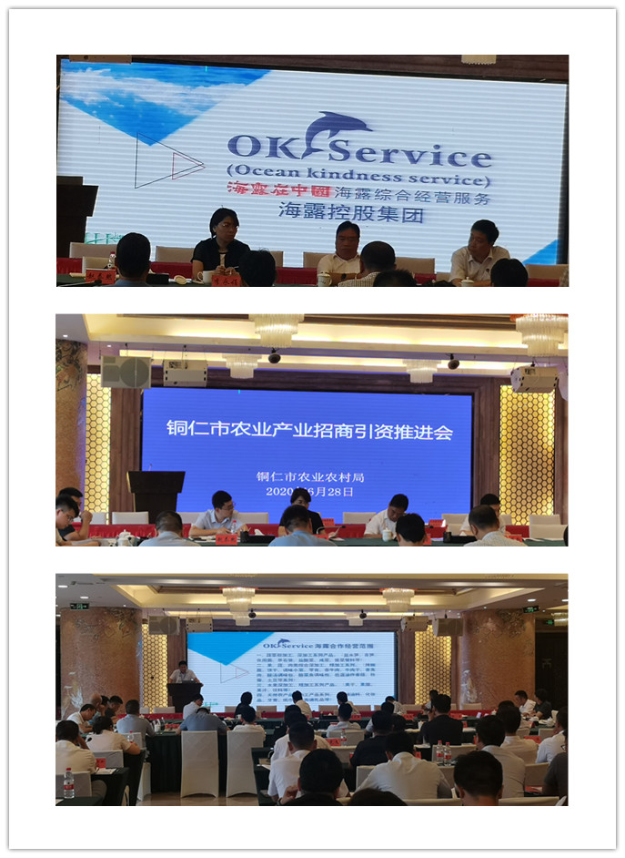 Z6���������ǲ�(�й���)���޹�˾����