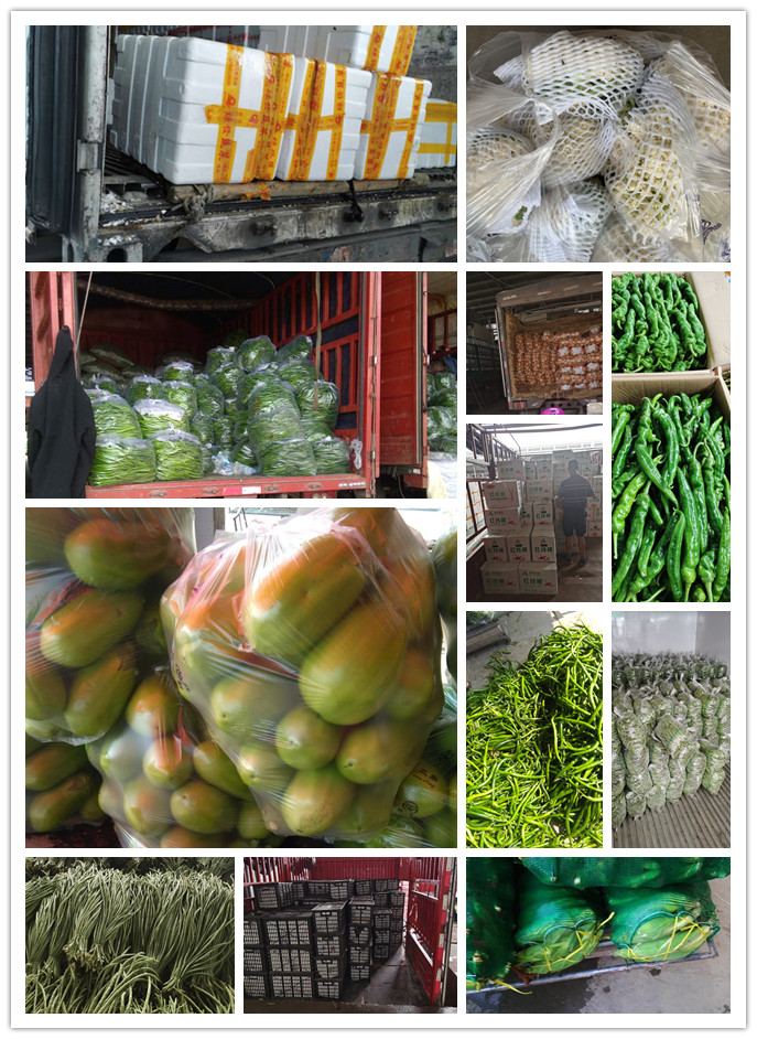 Z6���������ǲ�(�й���)���޹�˾����