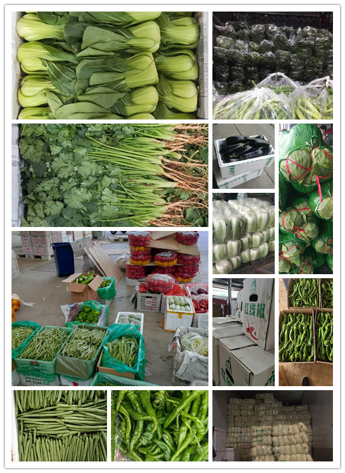 Z6���������ǲ�(�й���)���޹�˾����