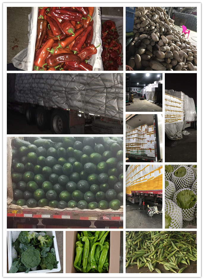 Z6���������ǲ�(�й���)���޹�˾����