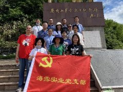 ��˾��֧����֯��Ա���𾢷���ʵ�ؾ��С�����ɽ�������Ź��ߡ��������