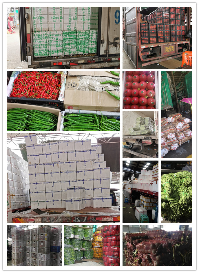 Z6���������ǲ�(�й���)���޹�˾����