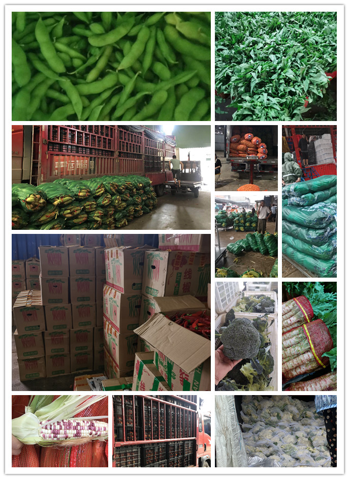 Z6���������ǲ�(�й���)���޹�˾����