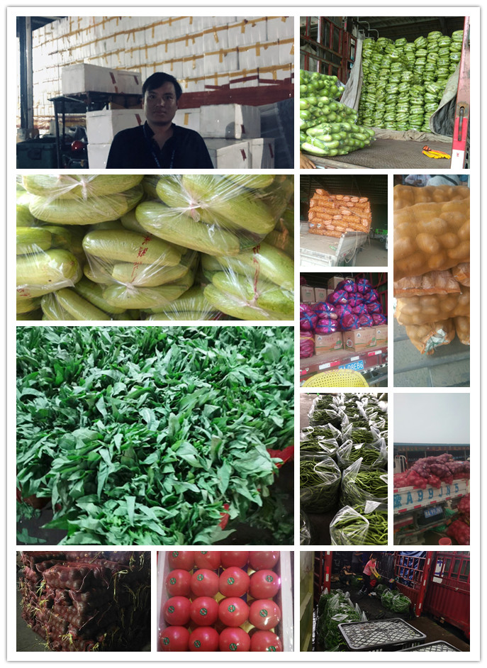 Z6���������ǲ�(�й���)���޹�˾����