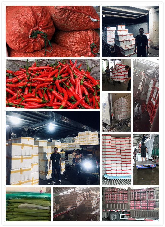 Z6���������ǲ�(�й���)���޹�˾����