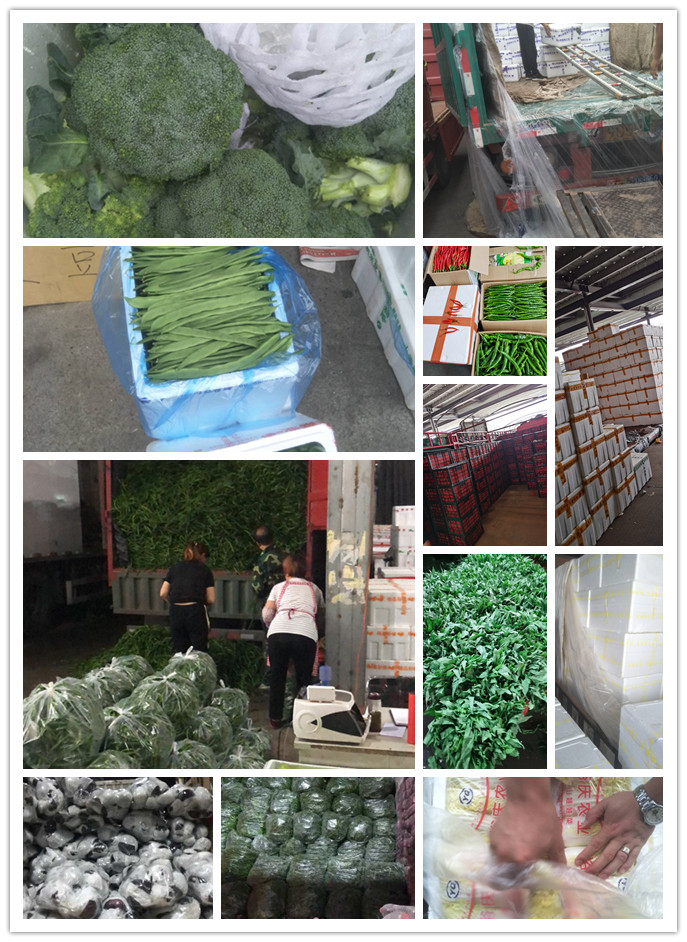 Z6���������ǲ�(�й���)���޹�˾����