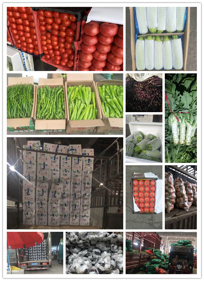 Z6���������ǲ�(�й���)���޹�˾����