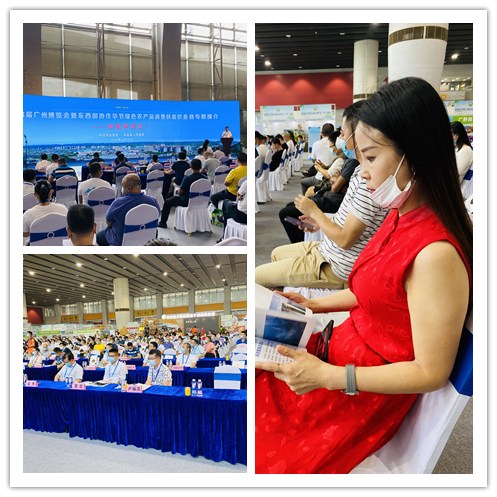 Z6���������ǲ�(�й���)���޹�˾����