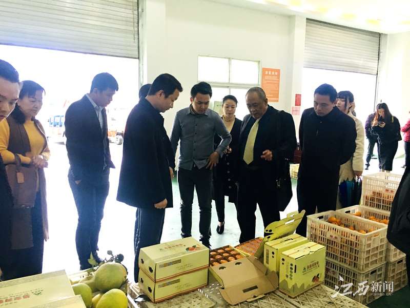 Z6���������ǲ�(�й���)���޹�˾����