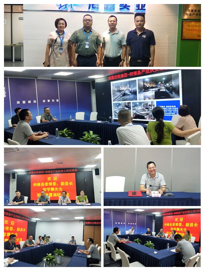 Z6���������ǲ�(�й���)���޹�˾����