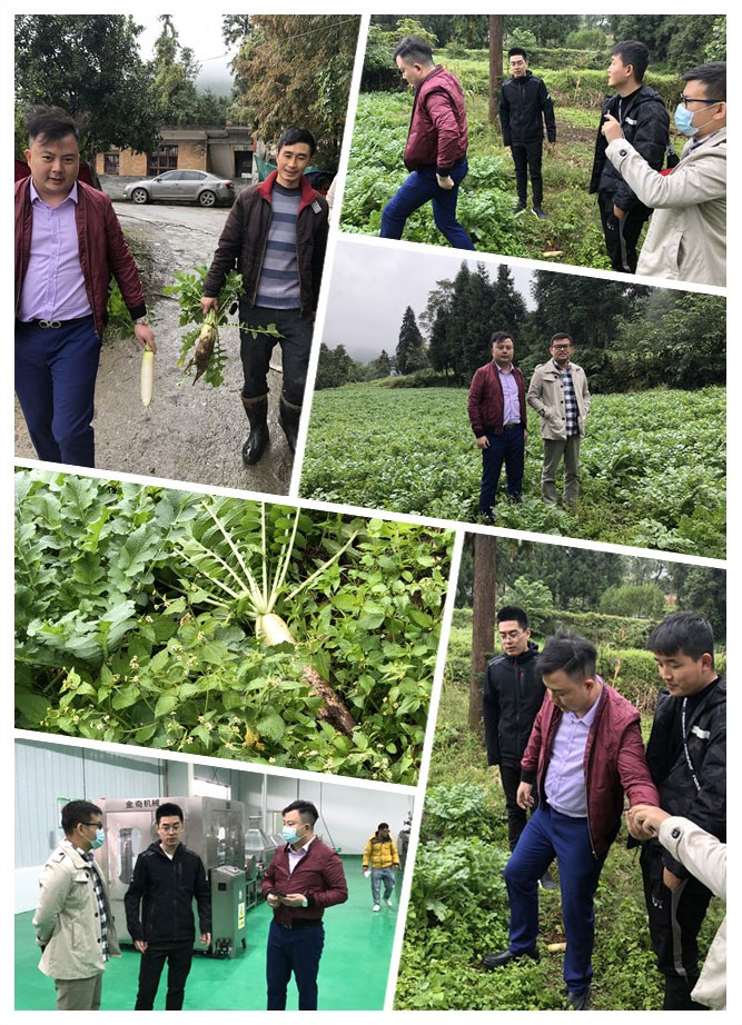 Z6���������ǲ�(�й���)���޹�˾����