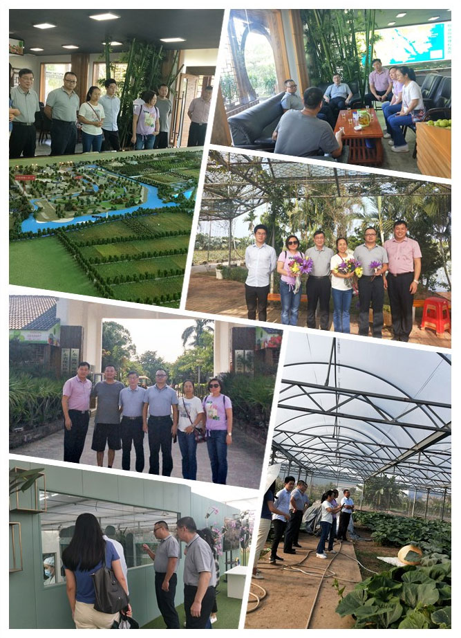 Z6���������ǲ�(�й���)���޹�˾����