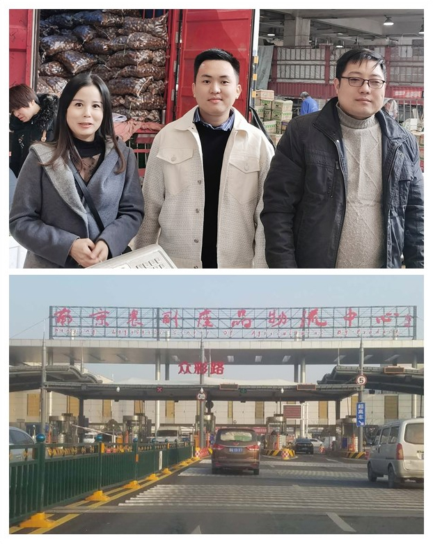 Z6���������ǲ�(�й���)���޹�˾����