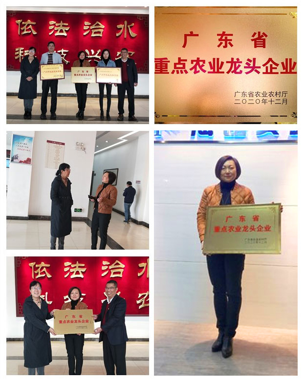 Z6���������ǲ�(�й���)���޹�˾����