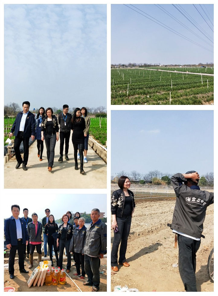 Z6���������ǲ�(�й���)���޹�˾����