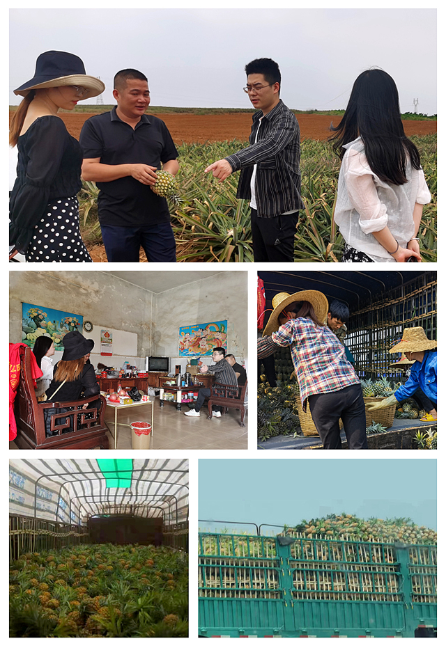 Z6���������ǲ�(�й���)���޹�˾����