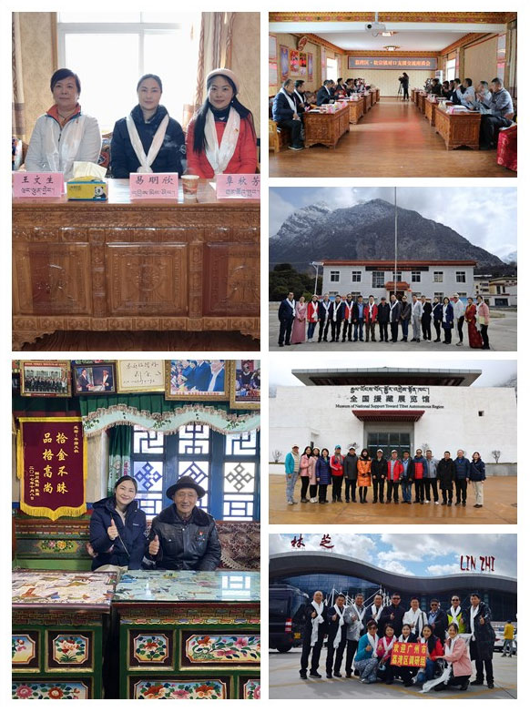 Z6���������ǲ�(�й���)���޹�˾����