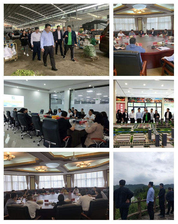 Z6���������ǲ�(�й���)���޹�˾����