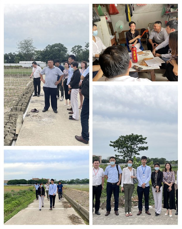 Z6���������ǲ�(�й���)���޹�˾����