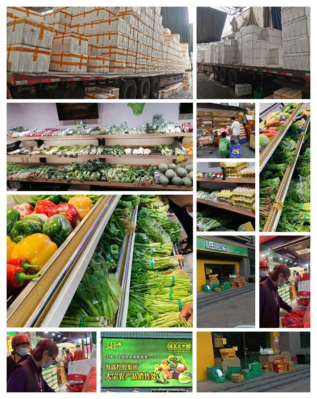 Z6���������ǲ�(�й���)���޹�˾����