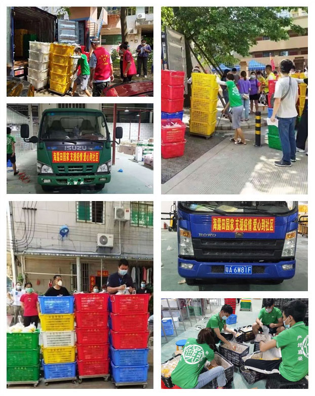 Z6���������ǲ�(�й���)���޹�˾����