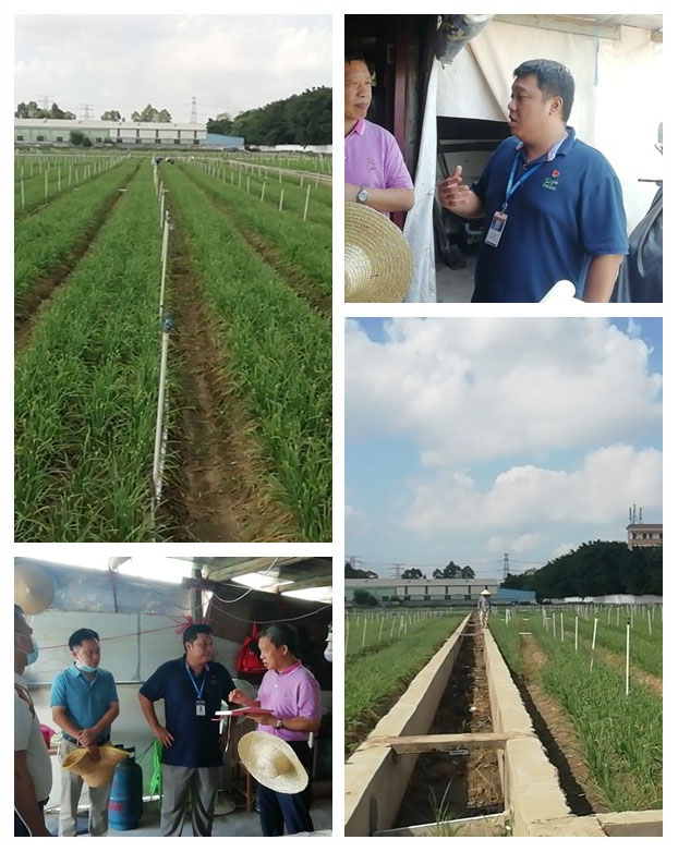 Z6���������ǲ�(�й���)���޹�˾����