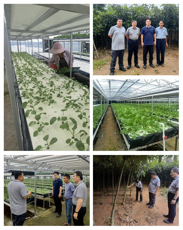 Z6���������ǲ�(�й���)���޹�˾����