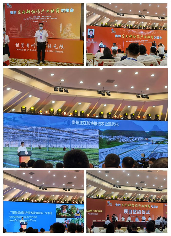 Z6���������ǲ�(�й���)���޹�˾����