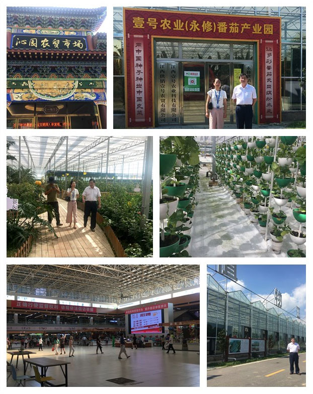 Z6���������ǲ�(�й���)���޹�˾����